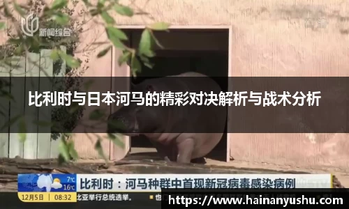 比利时与日本河马的精彩对决解析与战术分析